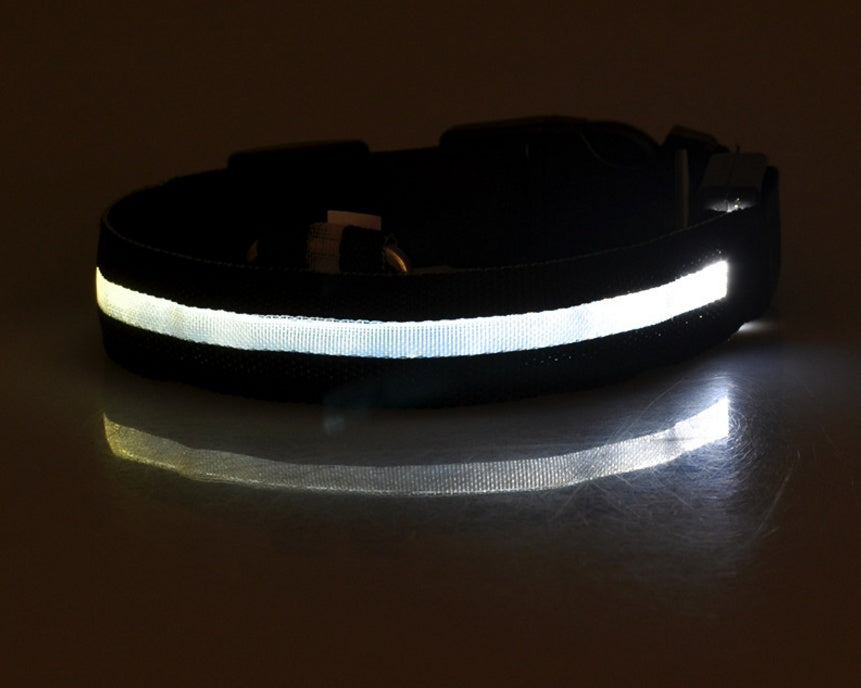 Nylon Luminous Dog Collar