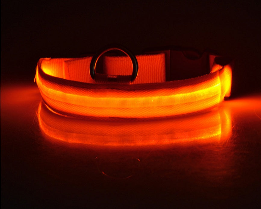 Nylon Luminous Dog Collar