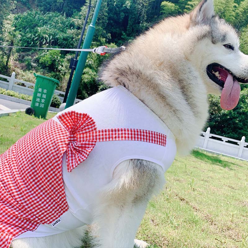Plaid Princess Dog Dress