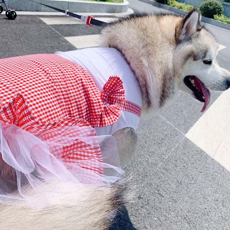 Plaid Princess Dog Dress