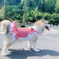 Plaid Princess Dog Dress
