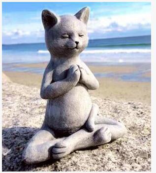 Pet Zen Meditation Statue