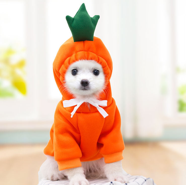 Cute Dog Costumes
