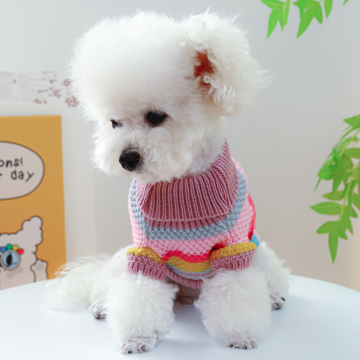 Multicolor Striped Dog Sweater