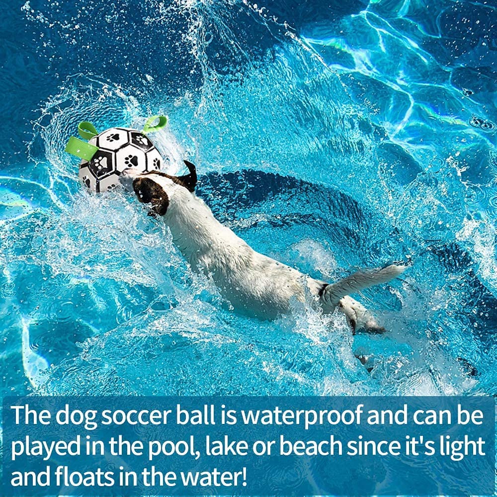 Interactive Dog Football Toy – Bouncy Soccer Ball for Large Dogs