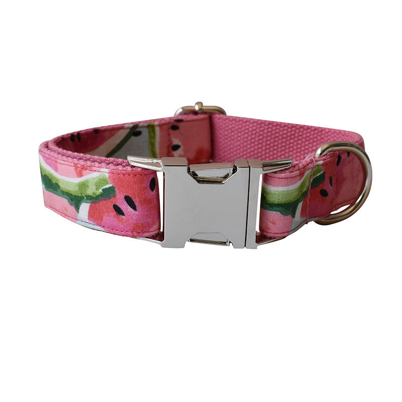 Watermelon Dog Collar w/Leash