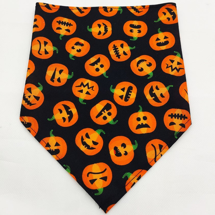 Pet Bandana