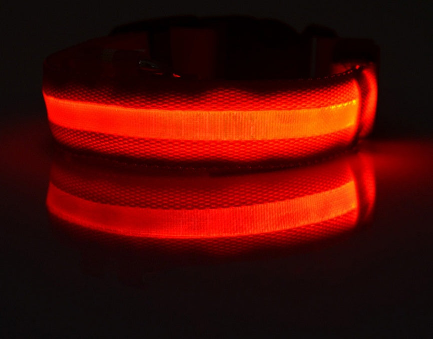 Nylon Luminous Dog Collar