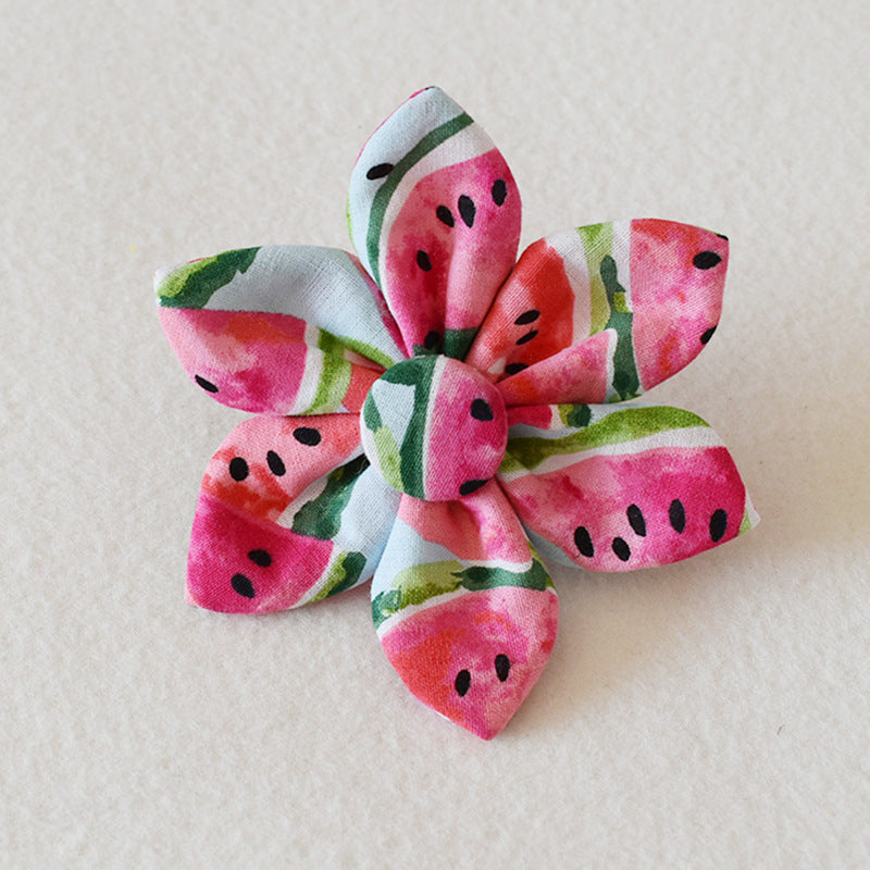 Watermelon Dog Collar w/Leash