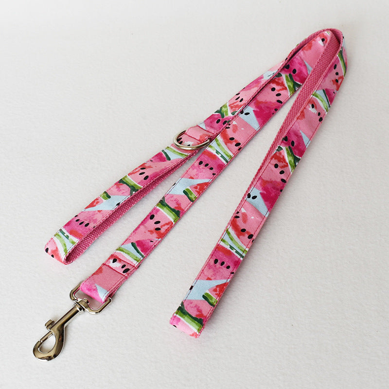 Watermelon Dog Collar w/Leash