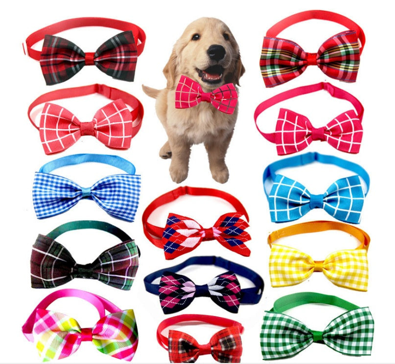 Pet Bowtie