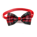 Pet Bowtie