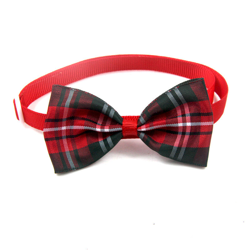 Pet Bowtie