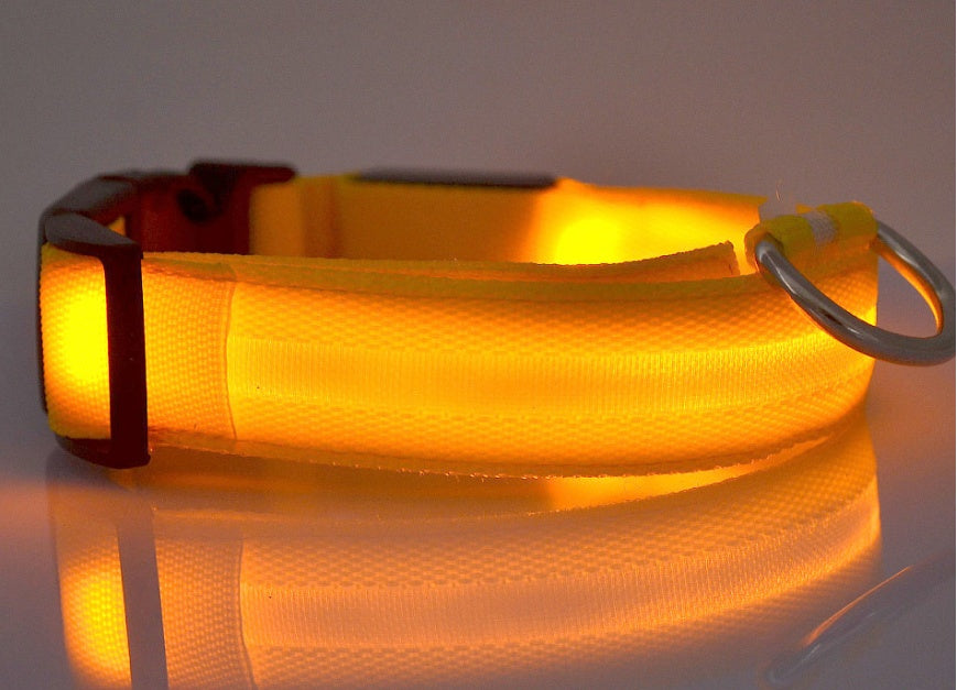 Nylon Luminous Dog Collar