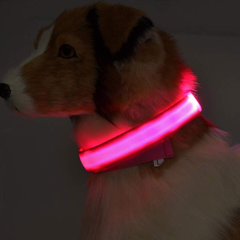 Nylon Luminous Dog Collar