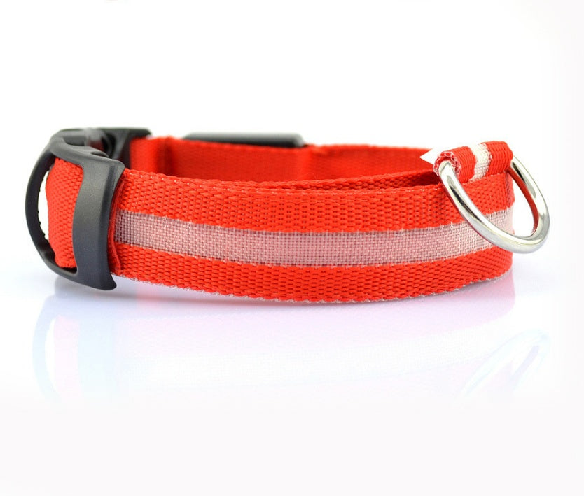 Nylon Luminous Dog Collar