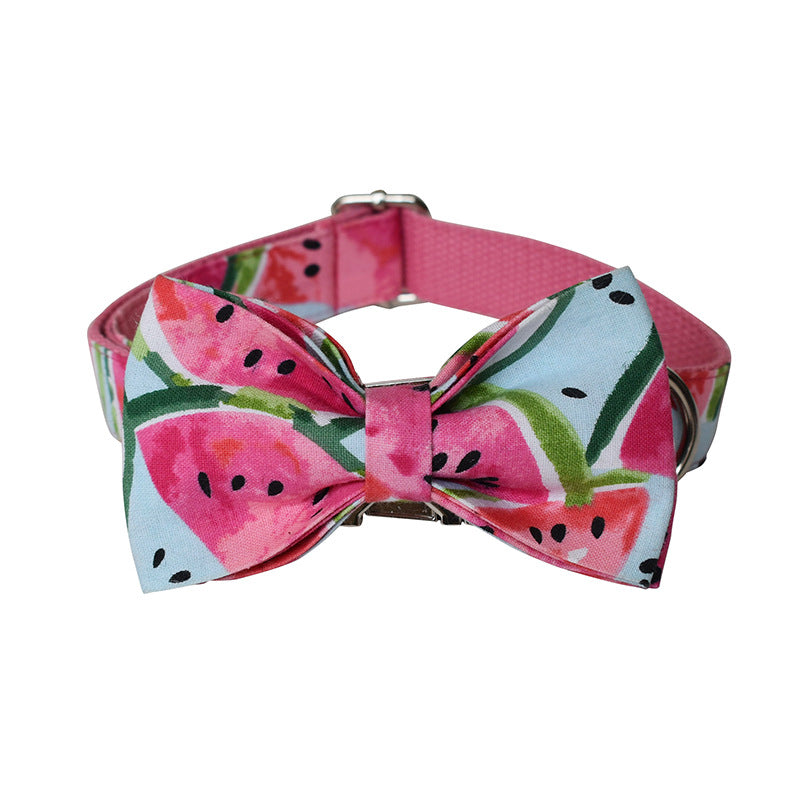 Watermelon Dog Collar w/Leash