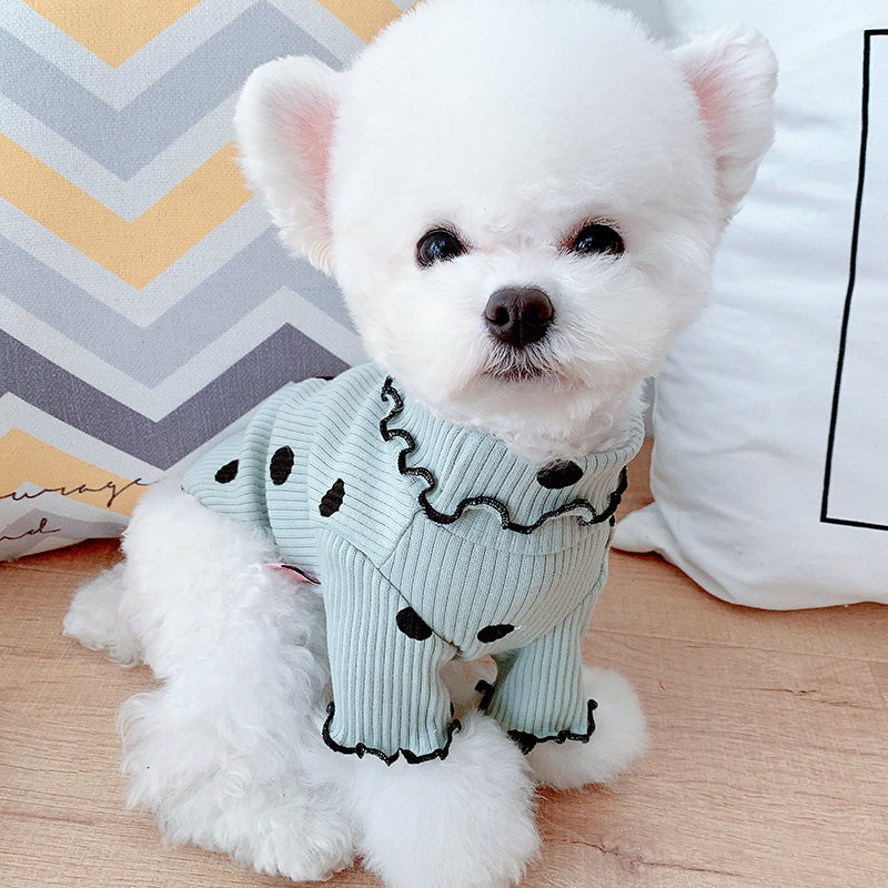 Ribbed Dog Turtleneck with Polka Dot Pattern