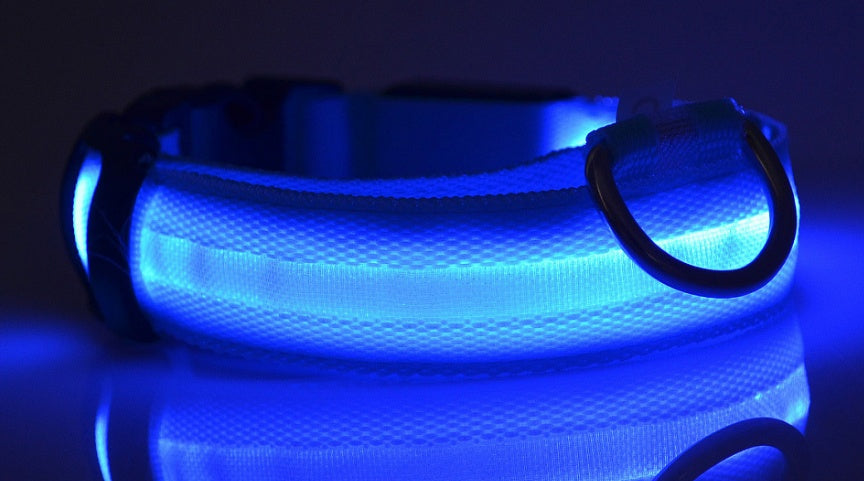 Nylon Luminous Dog Collar