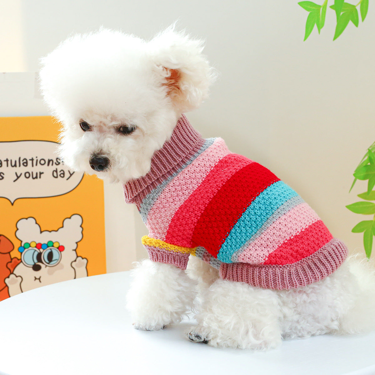 Multicolor Striped Dog Sweater