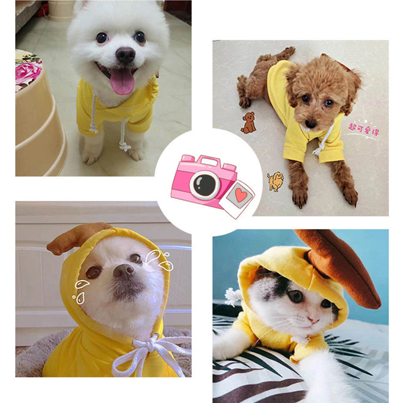 Cute Dog Costumes