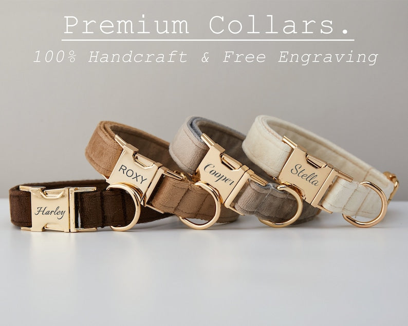 Velvet Personalized Dog Collar Leash Set With Bow