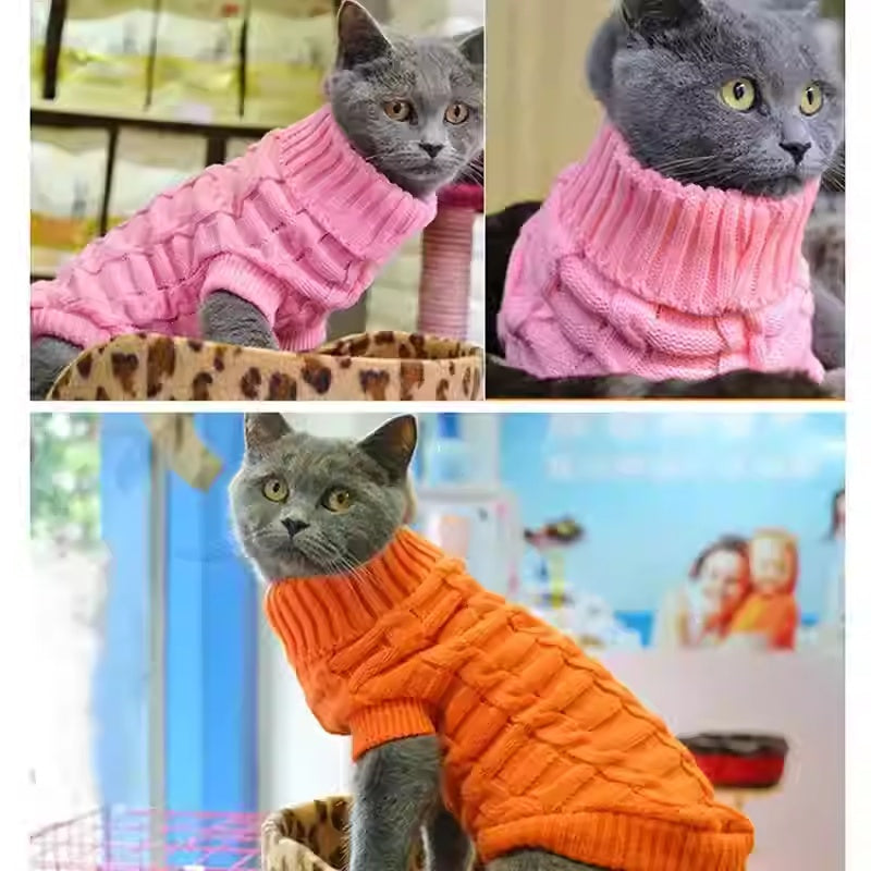 Knitted Sweater for Hairless Cats – Cozy Casual Pet Clothing