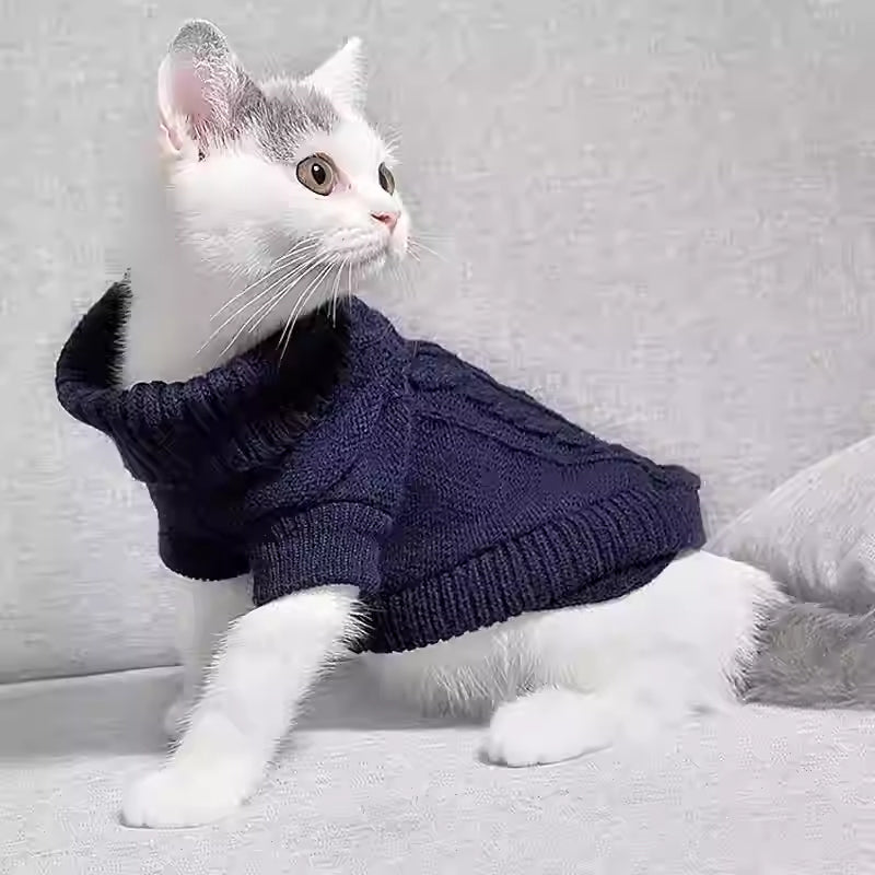 Knitted Sweater for Hairless Cats – Cozy Casual Pet Clothing