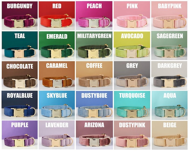 Velvet Personalized Dog Collar Leash Set With Bow